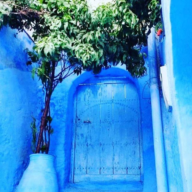 Casa Dreams Chaouen Apartment Chefchaouen Exterior foto