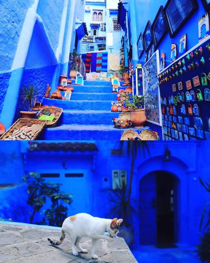 Casa Dreams Chaouen Apartment Chefchaouen Exterior foto